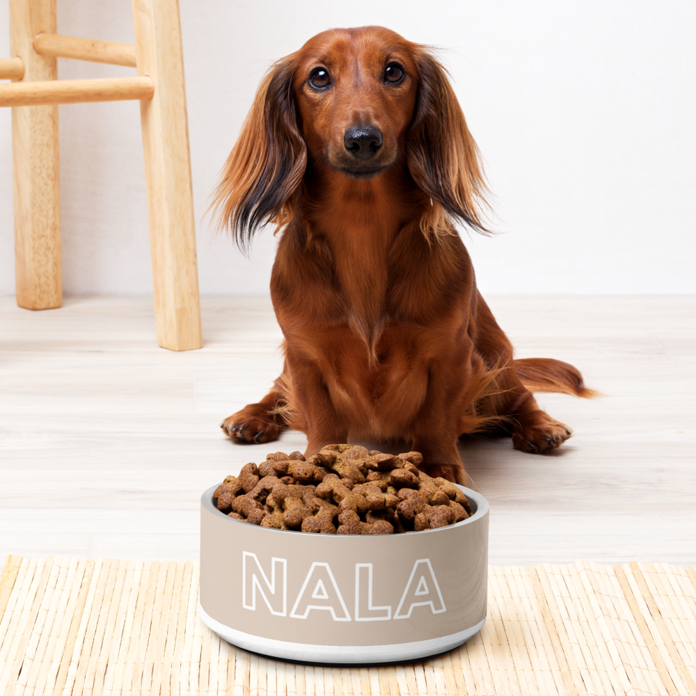 Personalised Dog Bowl and Cat Feeder - Sand - TLC Paws