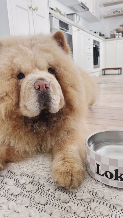 Personalised Dog Bowl - Stainless Steel Food and Water Bowl Gingham Pink